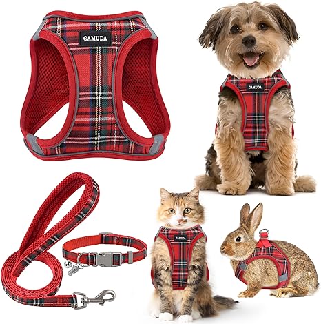 Small Dog Harness Collar and Leash Set - RED XS